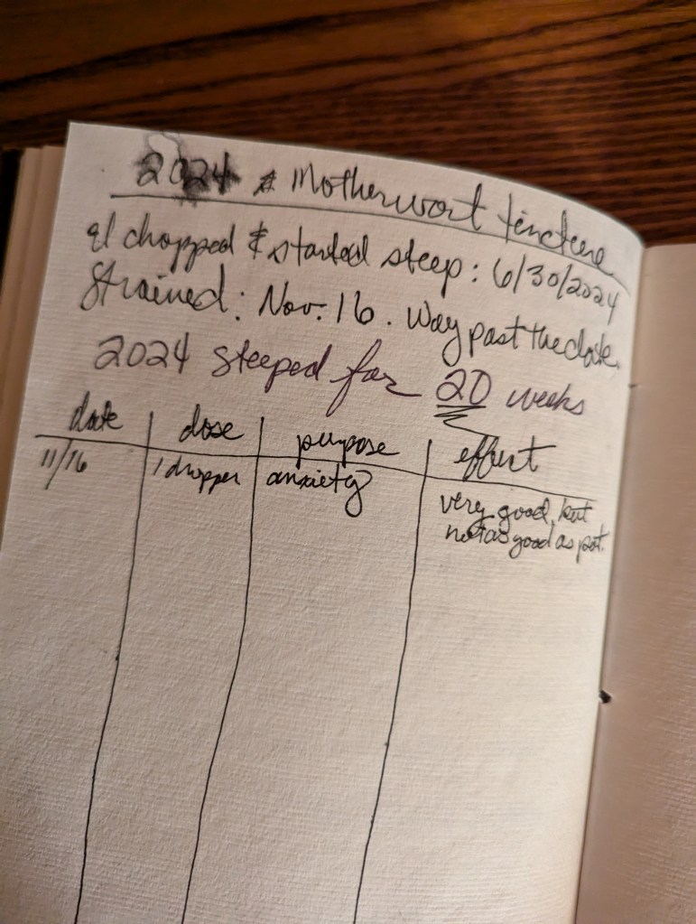 Page of notebook, reading: 2024 motherwort tincture/I chopped & started steep: 6/30/2024. Strained: Nov. 16. Way past the date. 2024 steeped for 20 weeks. Date: 11/16 | dose: 1 dropper | purpose: anxiety | effect: very good, but not as good as pot.